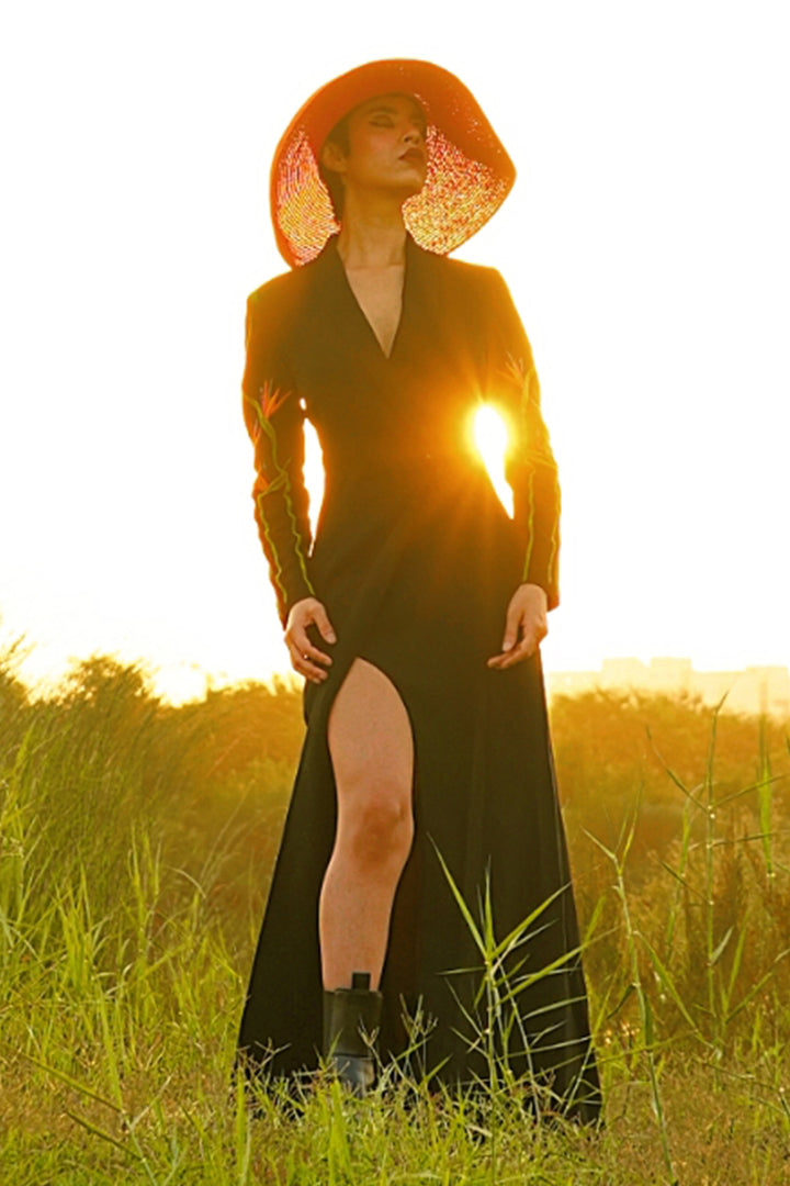 Shafaque Eqbal In Bird Of Paradise Gown Dress