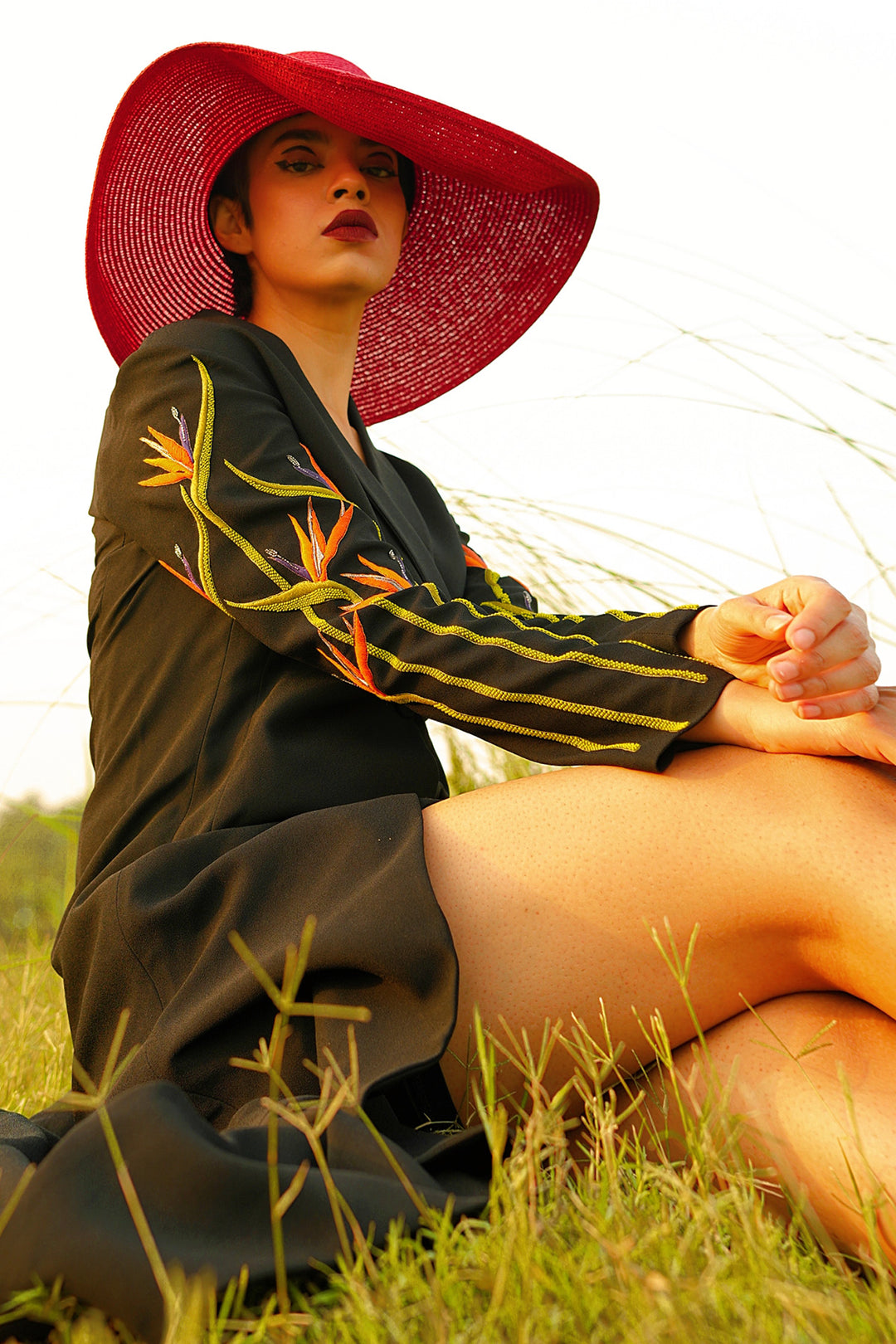 Shafaque Eqbal In Bird Of Paradise Gown Dress