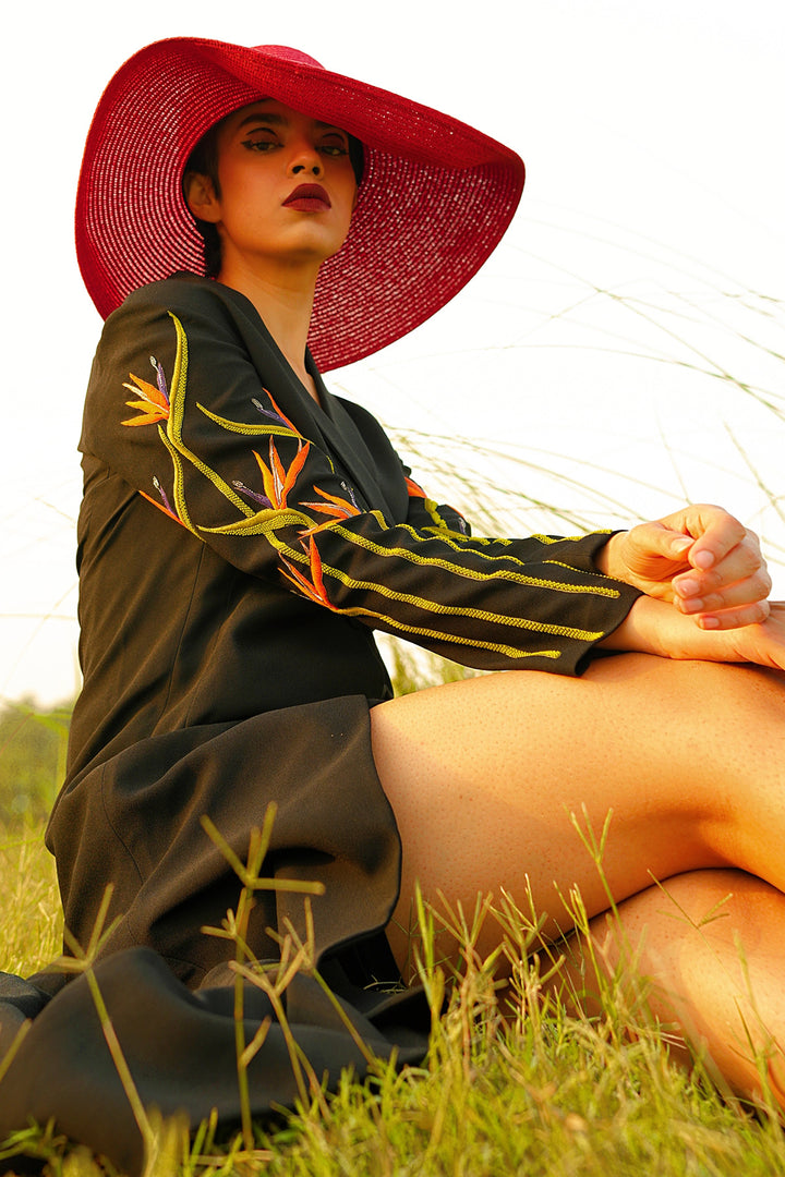 Shafaque Eqbal In Bird Of Paradise Gown Dress