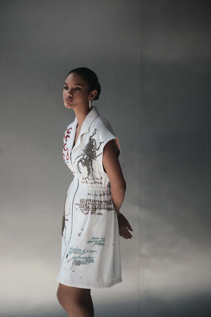 BUG THEORY ROBE DRESS