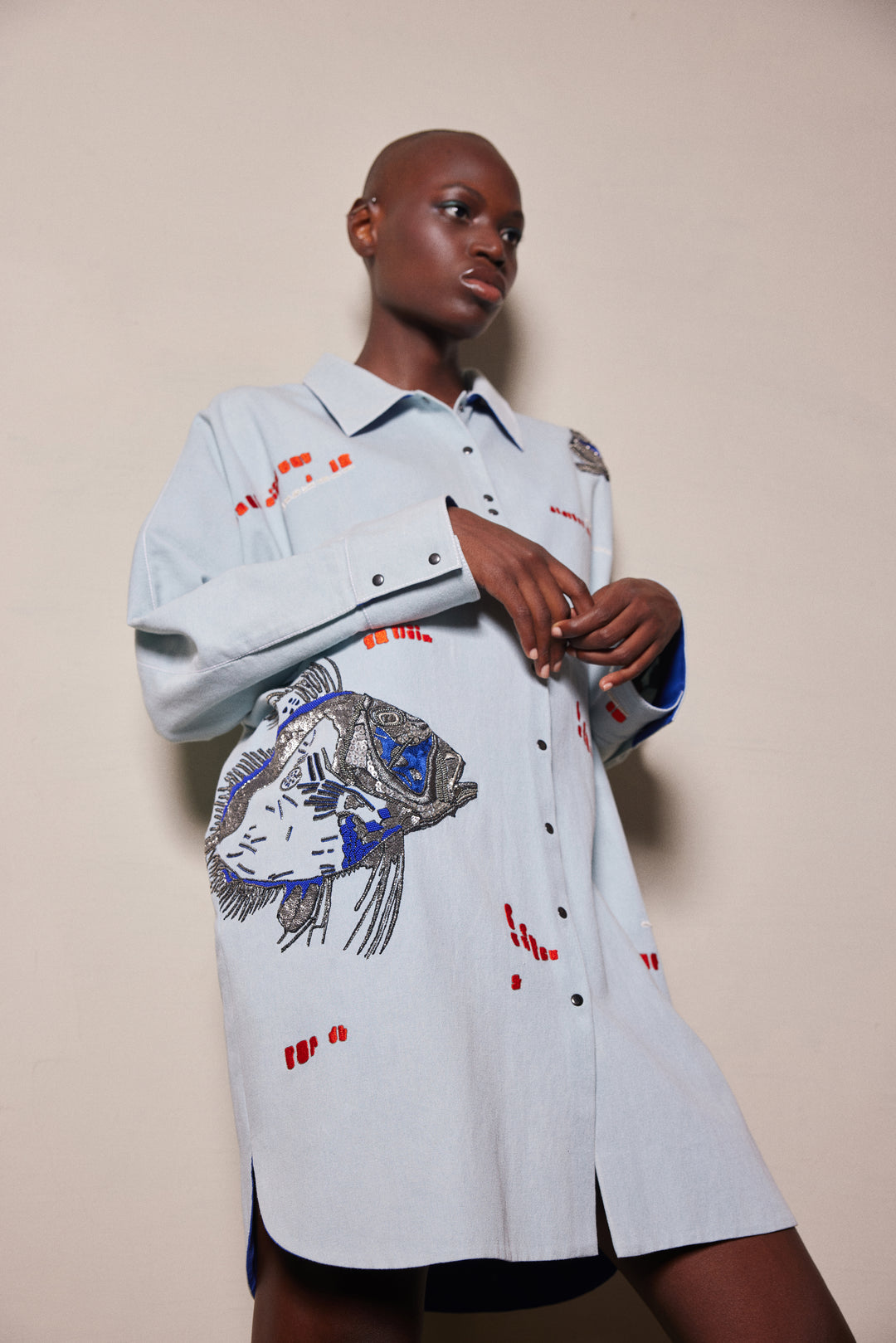 BIG FISH OVERSIZED SHIRT DRESS