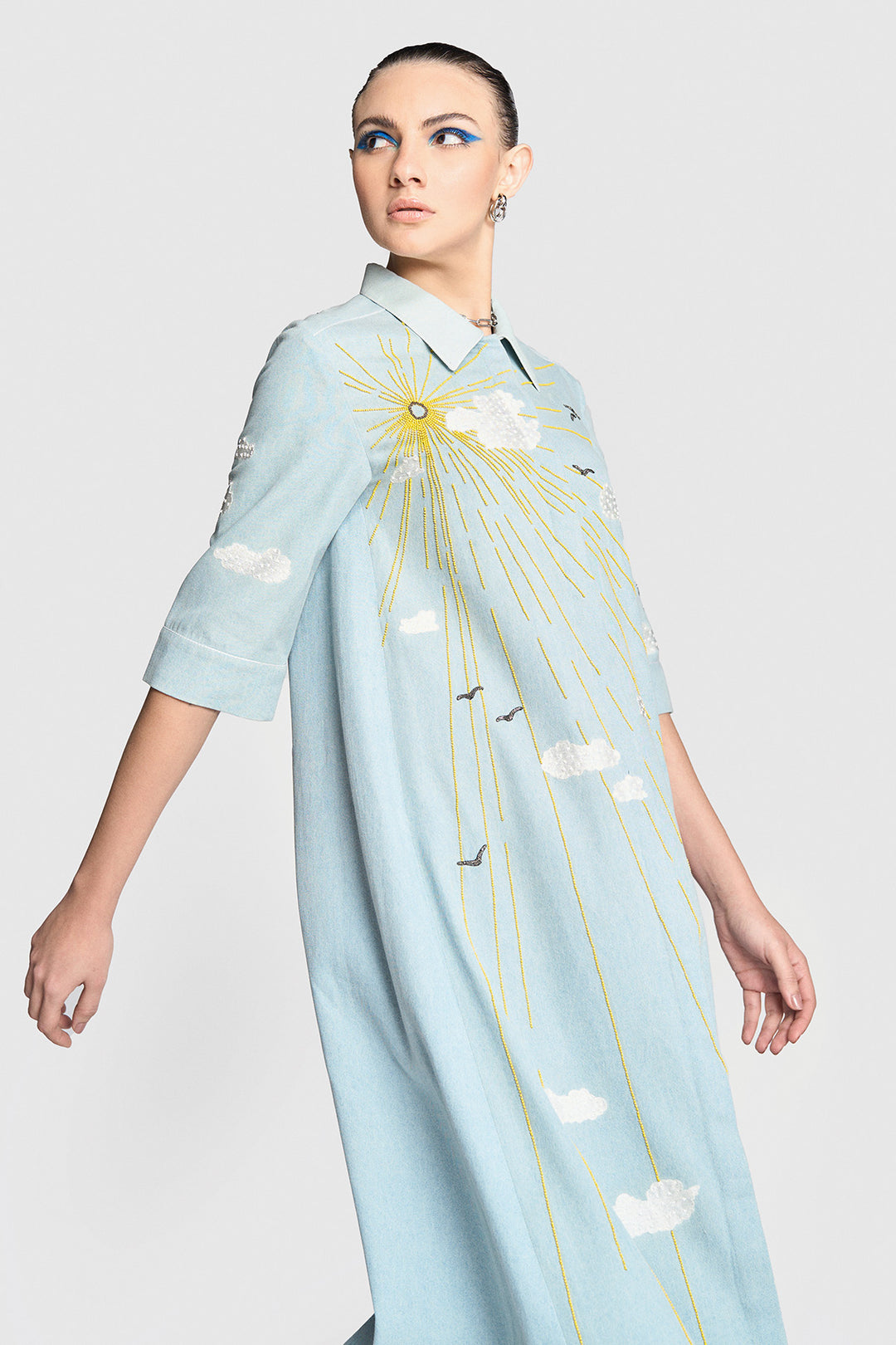 Sun,clouds &amp; Birds Front Open Flared Dress