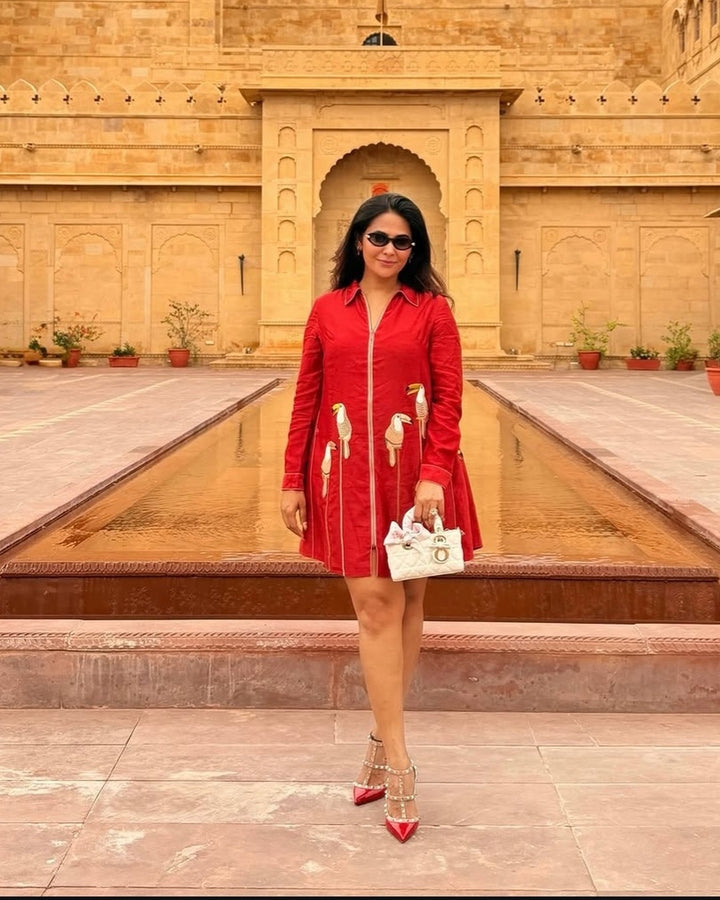 Kavya Gowda in TOUCAN SIDE TRIANGLE SHIRT DRESS