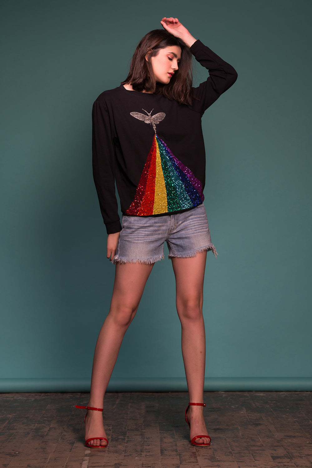 Rainbow Insect Sweatshirt