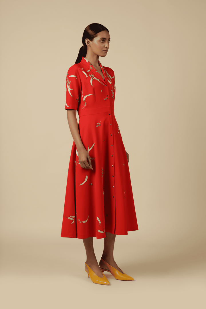Eucalyptus Shawl Collar Dress
