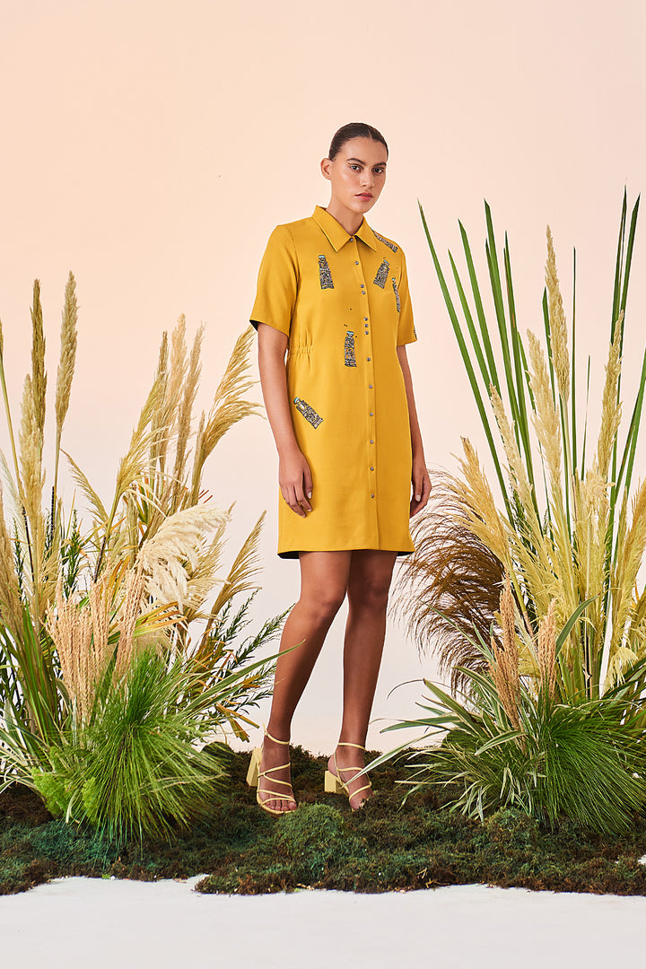 Colour Tubes Shift Dress